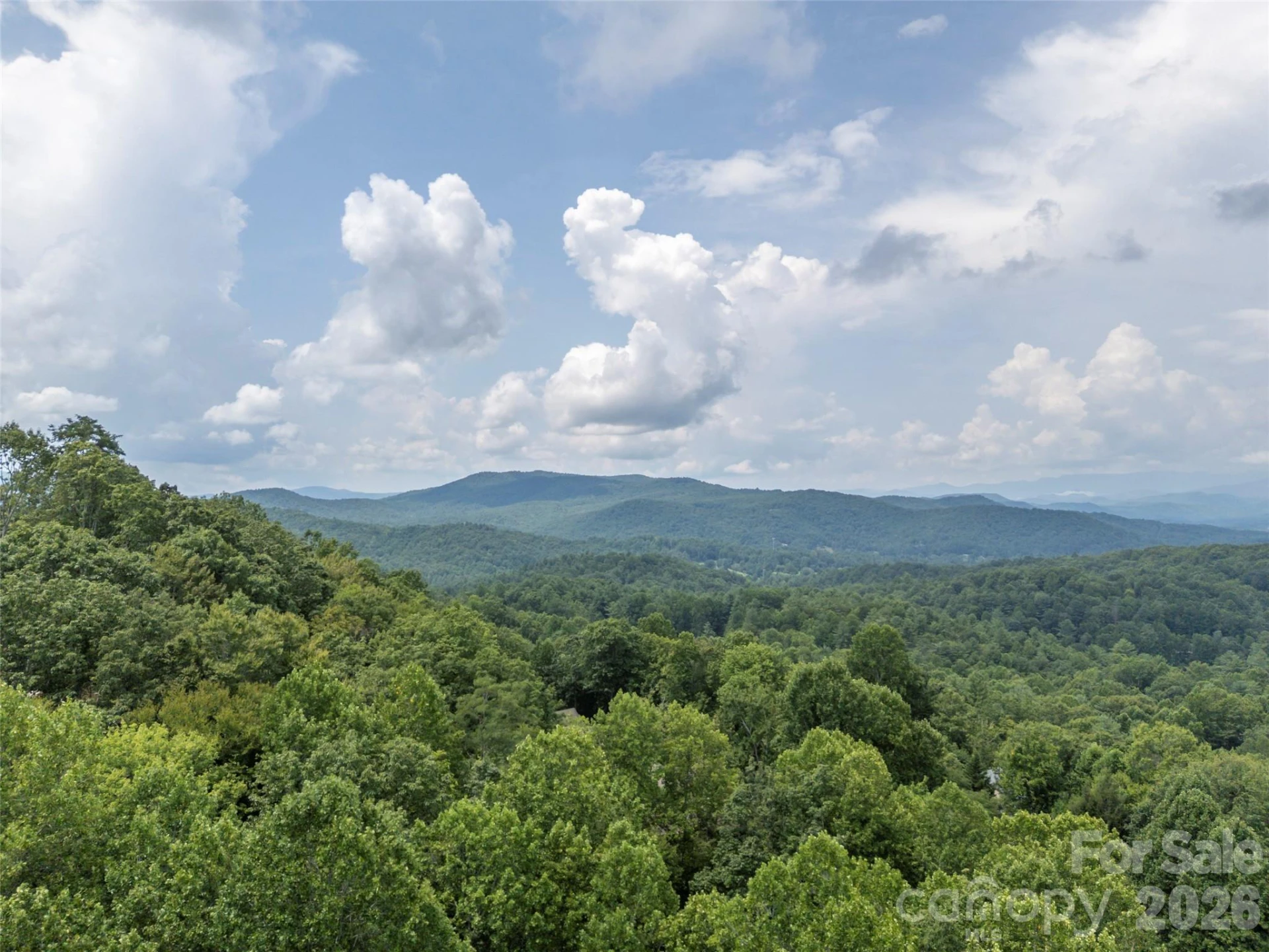 75 Old Hickory Trail - Photo 46