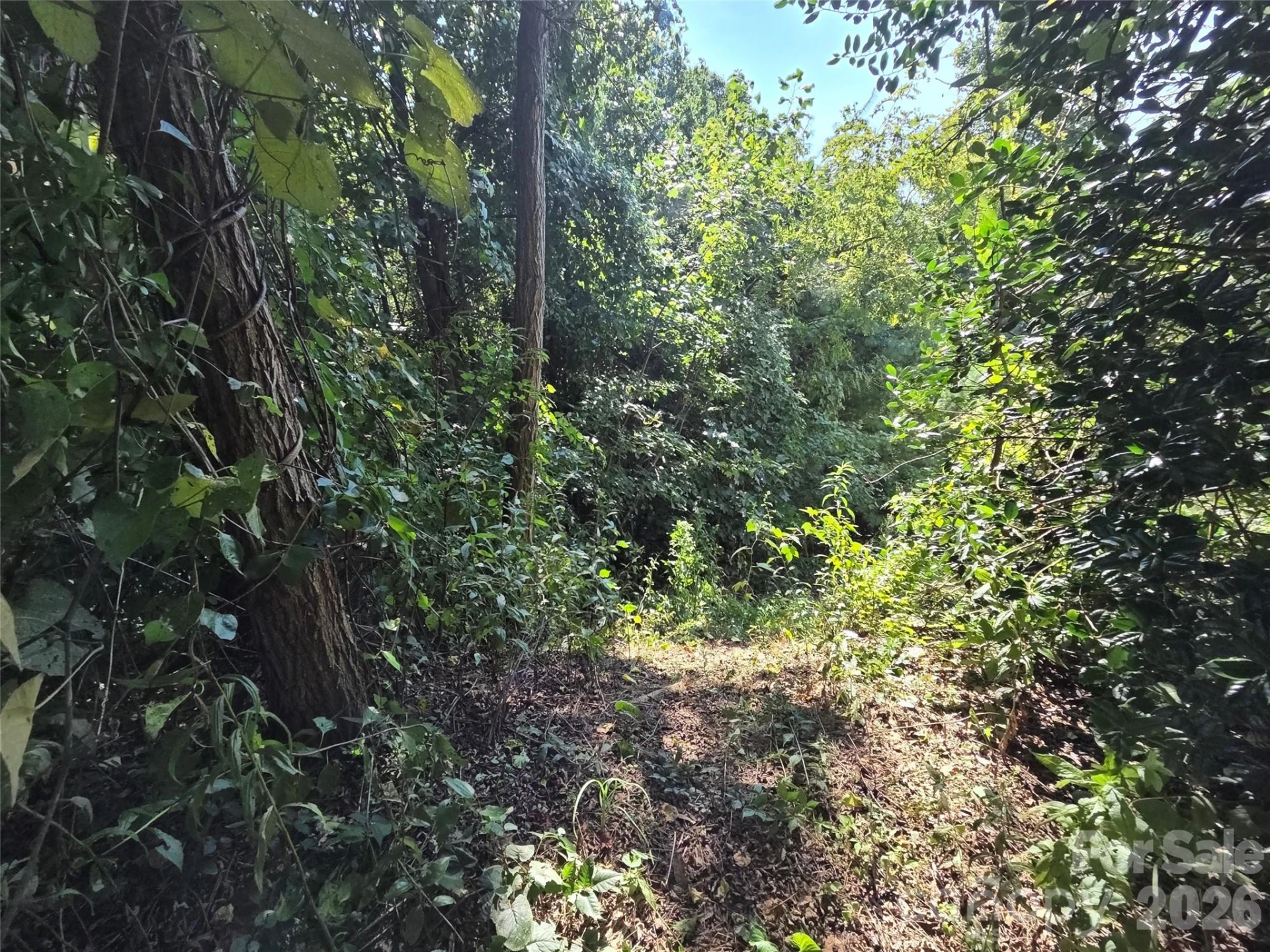 59 Summit Hill Road - Photo 4