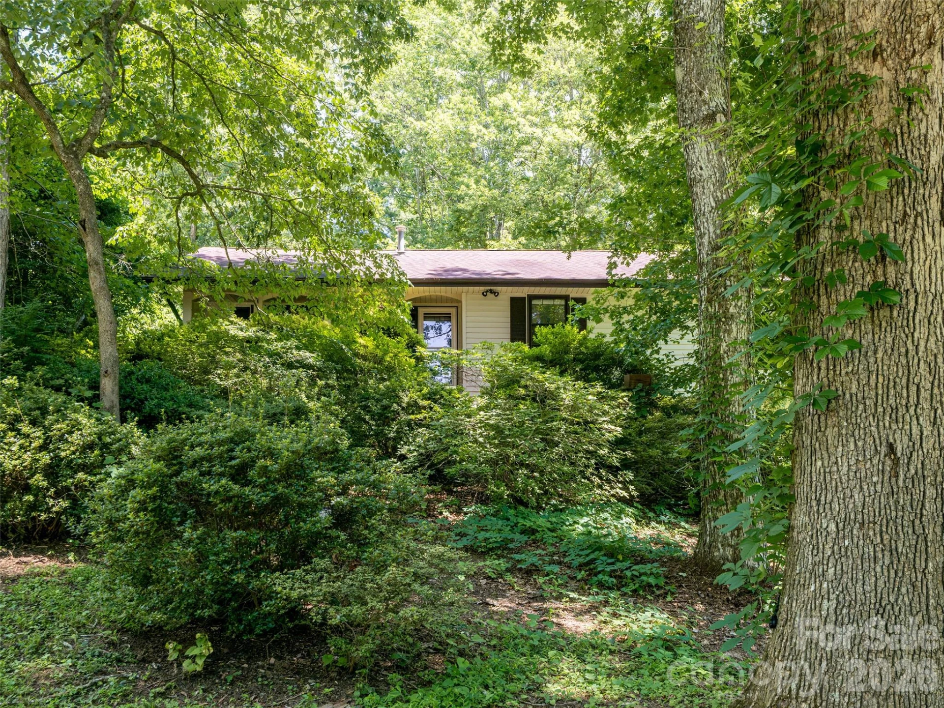 14 Forest Ridge Drive - Photo 40