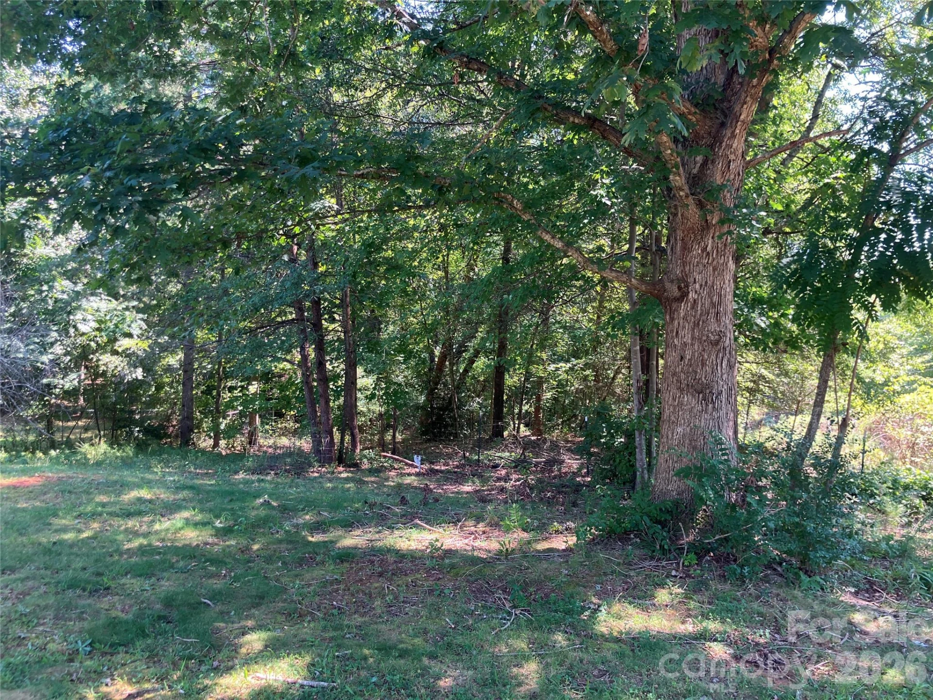 271 Weaver Way - Photo 19